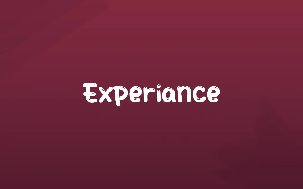Experiance Definition and Meaning